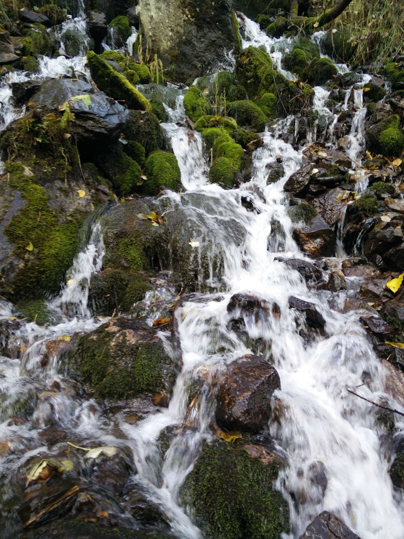 Kheerganga trail section
